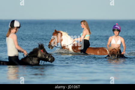 I piloti e i loro cavalli e pony rinfrescarvi dal weekend di calore nella Baia di Weymouth Dorset, UK Credit: Finnbarr Webster/Alamy Live News Foto Stock