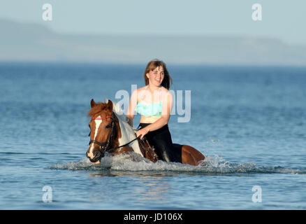 I piloti e i loro cavalli e pony rinfrescarvi dal weekend di calore nella Baia di Weymouth Dorset, UK Credit: Finnbarr Webster/Alamy Live News Foto Stock