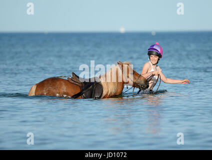 I piloti e i loro cavalli e pony rinfrescarvi dal weekend di calore nella Baia di Weymouth Dorset, UK Credit: Finnbarr Webster/Alamy Live News Foto Stock