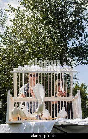 Colomba casa ricordi estivi evento - colomba hospice casa tenere un servizio per gli amici, famiglie e cari. La manifestazione comprendeva una visualizzazione di mano girasoli di metallo, sostenuto da donazioni e molti con nomi incisi. Foto Stock