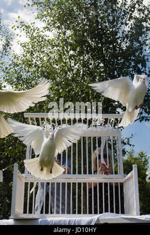 Colomba casa ricordi estivi evento - colomba hospice casa tenere un servizio per gli amici, famiglie e cari. La manifestazione comprendeva una visualizzazione di mano girasoli di metallo, sostenuto da donazioni e molti con nomi incisi. Foto Stock