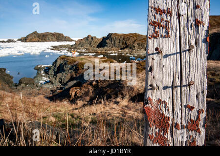 Vecchio palo da recinzione in Sleepy Cove - Testa di corvo, Twillingate, Terranova, Canada Foto Stock