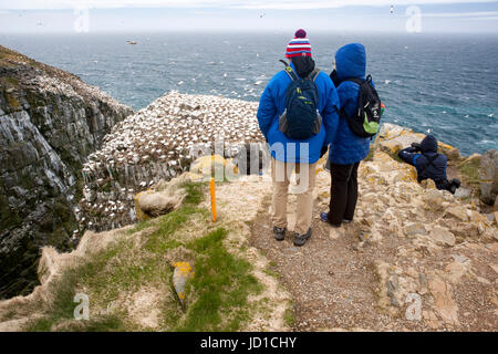 I turisti guardando a bird rock - Cape Santa Maria della riserva ecologica, Cape Santa Maria ad Avalon Penisola, Terranova, Canada Foto Stock