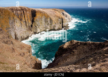 Robusto il paesaggio costiero di Cape Santa Maria della riserva ecologica, Cape Santa Maria ad Avalon Penisola, Terranova, Canada Foto Stock