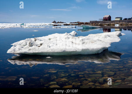 Iceberg in Bonavista, Terranova, Canada Foto Stock