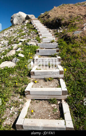 Scale di legno al Green Point, Parco Nazionale Gros Morne, Terranova, Canada Foto Stock