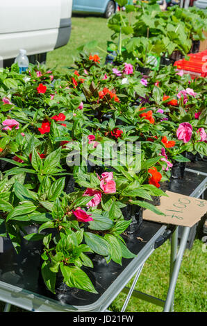 Un bagagliaio della vettura in vendita in Prospect Park in Reading, Berkshire, Regno Unito. Foto Stock