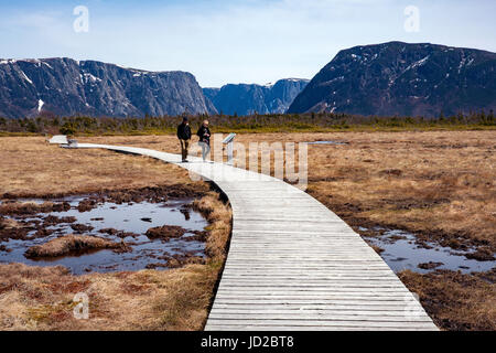 Sentiero per Western Brook Pond, Parco Nazionale Gros Morne, Terranova, Canada Foto Stock