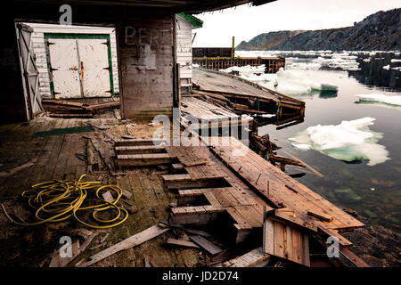 Rundown stadio di pesca e banchine in testa di corvo, Twillingate, Terranova, Canada Foto Stock