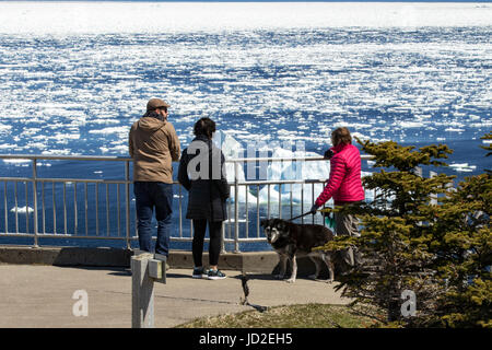 Persone a scenic si affacciano - Testa di corvo, Twillingate, Terranova, Canada Foto Stock