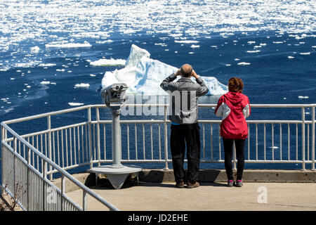 Giovane presso Scenic si affacciano - Testa di corvo, Twillingate, Terranova, Canada Foto Stock