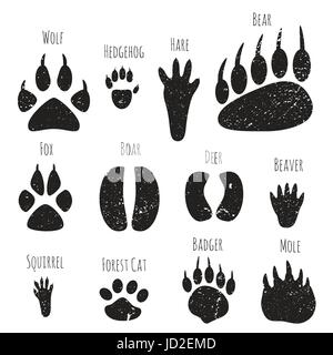 Set di vettore di animali della foresta di footprint. Illustrazione Vettoriale