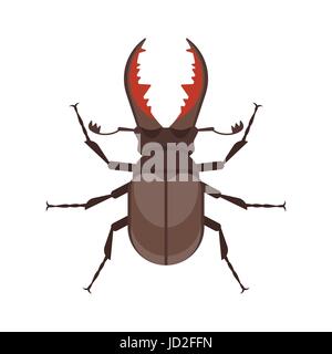 Vettore stile piatto illustrazione di stag beetle. Icona per il web. Isolato su sfondo bianco. Illustrazione Vettoriale