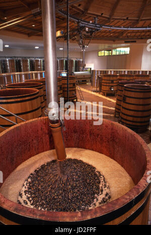 Appena raccolto Pinot Nero versando in una botte di rovere in hi-tech automatizzato Sablière La cantina di Louis Jadot, Beaune, Côte d'Or, Francia. Foto Stock