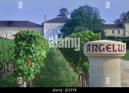 CHATEAU ANGELUS VIGNA pietra marcatore di confine nei vigneti di Chateau Angelus, Saint Emilion, Gironde, Francia. Foto Stock