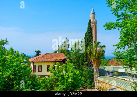 Il minareto scanalato di Alaaddin moschea è nascosta dietro le palme e cipressi del quartiere di Kaleici, Antalya, Turchia. Foto Stock