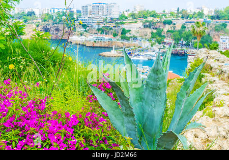 La vista sulla costa di Antalya attraverso la vegetazione lussureggiante di mermerli park con l'agave e luminose bougainvillea in primo piano, la Turchia. Foto Stock
