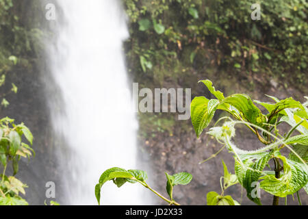 Costa Rican cascata "La Paz' Foto Stock