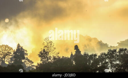 Golden sky shine anche se la nebbia sopra la montagna alta nella più grande foresta pluviale del Parco Nazionale in Thailandia Foto Stock