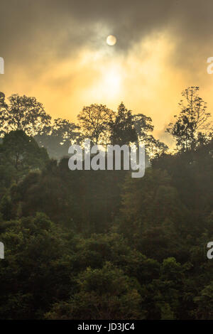 Golden sky shine anche se la nebbia sopra la montagna alta nella più grande foresta pluviale del Parco Nazionale in Thailandia Foto Stock