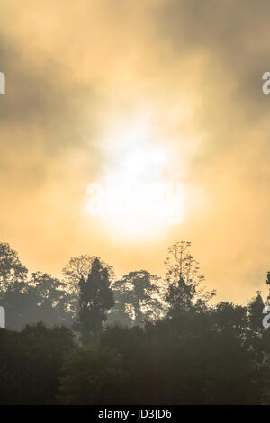 Golden sky shine anche se la nebbia sopra la montagna alta nella più grande foresta pluviale del Parco Nazionale in Thailandia Foto Stock