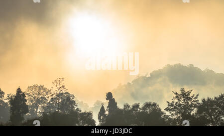 Golden sky shine anche se la nebbia sopra la montagna alta nella più grande foresta pluviale del Parco Nazionale in Thailandia Foto Stock