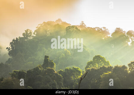 Golden sky shine anche se la nebbia sopra la montagna alta nella più grande foresta pluviale del Parco Nazionale in Thailandia Foto Stock