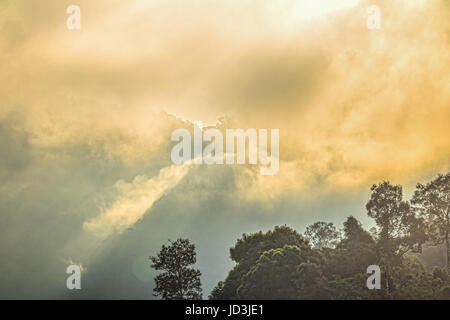 Golden sky shine anche se la nebbia sopra la montagna alta nella più grande foresta pluviale del Parco Nazionale in Thailandia Foto Stock