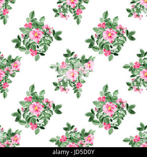 Briar blossom flower pattern Foto Stock