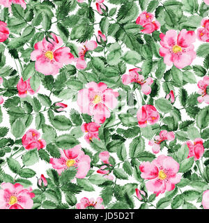 Briar blossom flower pattern Foto Stock