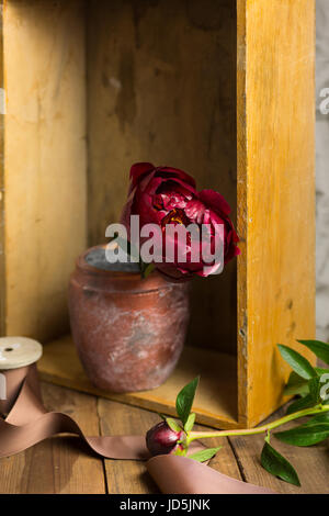 Ancora vita con singolo peonia fiore nel vecchio e rustico vaso. Foto Stock