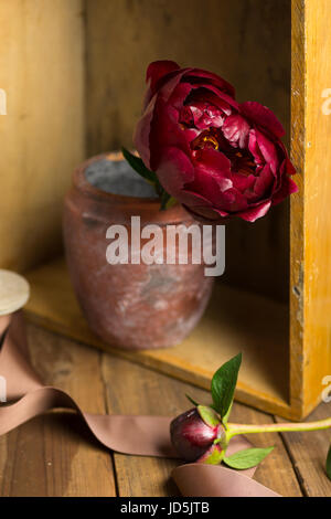 Ancora vita con singolo peonia fiore nel vecchio e rustico vaso. Foto Stock