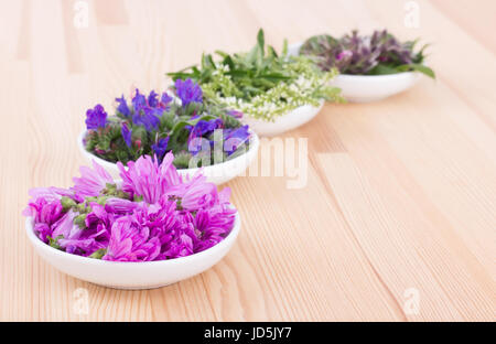 Bocce di fiori diversi Foto Stock