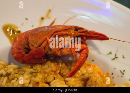 In primo piano su di aragosta bollita guarnire Foto Stock