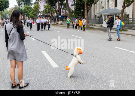 Ragazza tenendo cane curioso per una passeggiata a piedi in Hanoi Vietnam Foto Stock