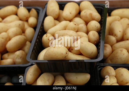 Di piccole dimensioni e di colore bianco lavato nuova azienda potato in plastica nera di scatole di contenimento al mercato retail display close up, ad alto angolo di visione Foto Stock