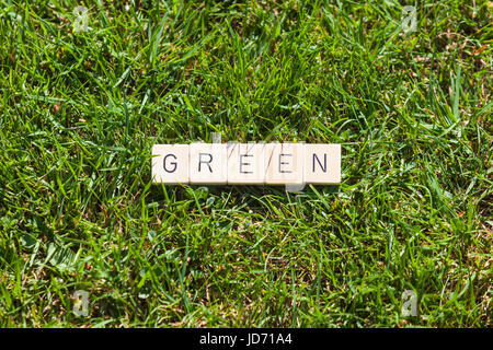 Piastrelle scrabble giacente su erba in giardino Foto Stock