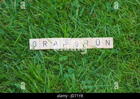 Piastrelle scrabble giacente su erba in giardino Foto Stock