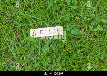 Piastrelle scrabble giacente su erba in giardino Foto Stock