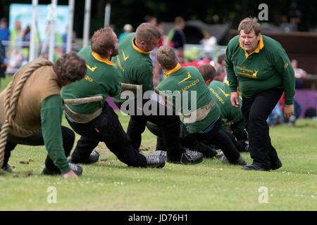 Aberdeen, Scozia - Giu 18, 2017: il coach incoraggiando la sua squadra a un rimorchiatore di guerra concorso durante i Giochi delle Highland evento in Aberdeen Scotland Credit: AC Immagini/Alamy Live News Foto Stock