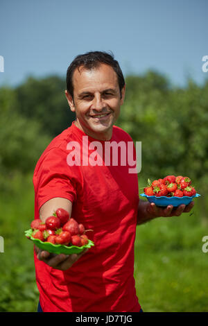 Felice agricoltore la presentazione di fragole appena raccolte dal suo giardino Foto Stock