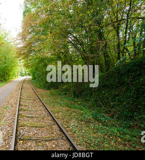 Prospettiva di diminuzione dei binari del treno e gli alberi che portano a distanza, Belgio Belgio europa Foto Stock