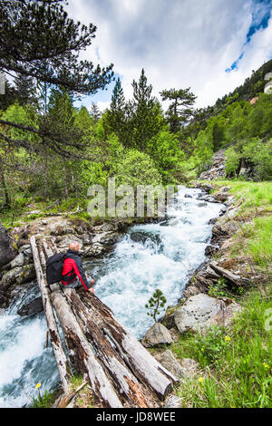 Escursionista in appoggio su albero caduto affacciato Pirenei nel Principato di Andorra Foto Stock