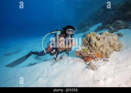 Maschio di scuba diver guarda sulla piccola scogliera di corallo sul fondo sabbioso, Oceano Indiano, Maldive Foto Stock