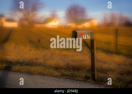 La cassetta postale lungo la strada di campagna, la mattina presto, Indiana, STATI UNITI D'AMERICA Foto Stock