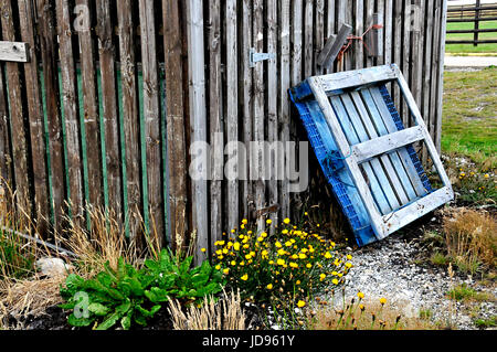 Varie viste di Port Stanley nelle isole Falkland, su 3/11/2014 Foto Stock