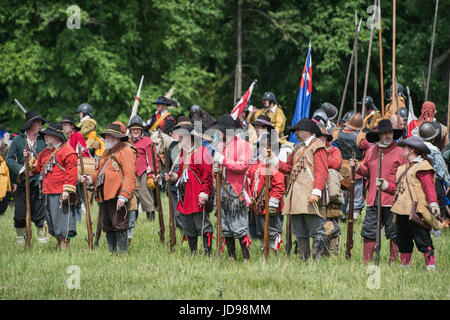 Deputato moschettieri preparando per la battaglia in un Nodo sigillato guerra civile inglese rievocazione storica evento. Charlton park di Malmesbury, Wiltshire, Regno Unito. Foto Stock