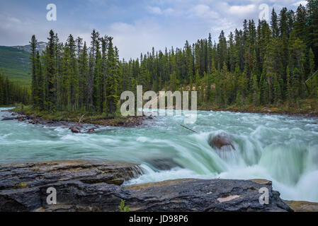 Sunwapta rientra nel Parco Nazionale di Jasper, Alberta, Canada Foto Stock