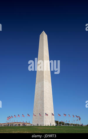 Vista in lontananza Washington obelisco circondato con bandiere, Washington DC, USA capitale Washington usa 2016 caduta Foto Stock