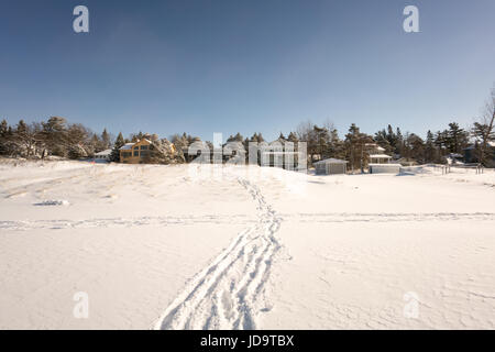 Orme che conduce attraverso la neve, dirigendosi verso casa in distanza, Ontario, Canada ontario canada freddo inverno 2017 snow Foto Stock